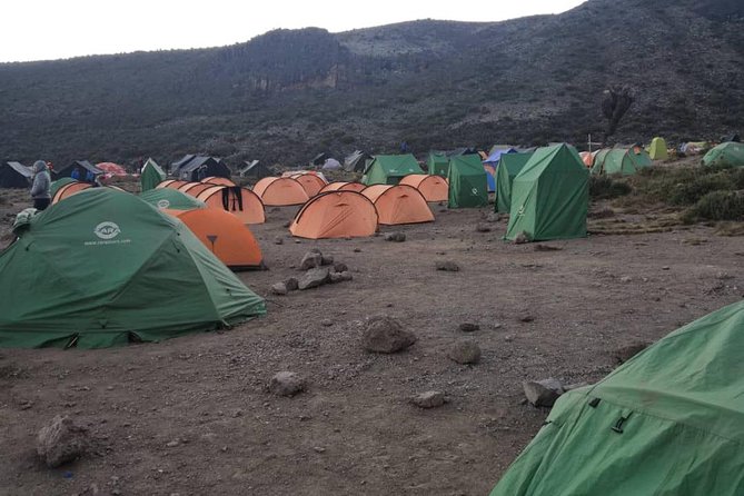 Climbing Kilimanjaro - Machame Route - Day four: Barranco Wall and the exposed Barafu ridge