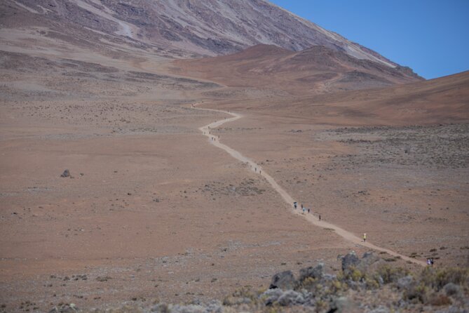 Climbing Kilimanjaro - Marangu Route - The high saddle between Mawenzi and Kibo