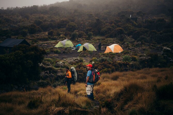 Climbing Kilimanjaro through 7 days Machame Route - Day 1: Machame Gate and the rainforest