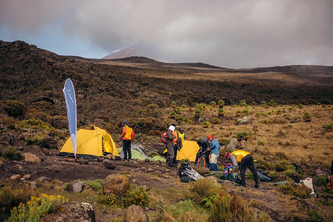 Climbing Kilimanjaro through 7 days Machame Route - Day 6: Descending by the Mweka Trail