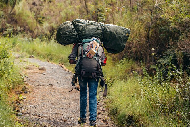 Climbing Kilimanjaro through 8 days Lemosho Route - The guide and porter team