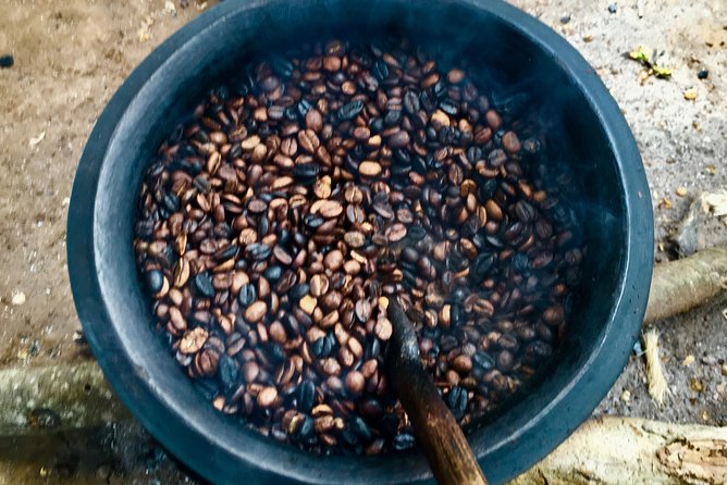 Coffee tour and Buffet Lunch with Kingstone Asilia (Arusha) - Medicinal plants and everyday local knowledge