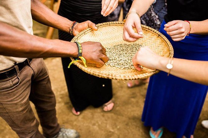 Coffee Tour Experience from Arusha - Key Points Before You Book