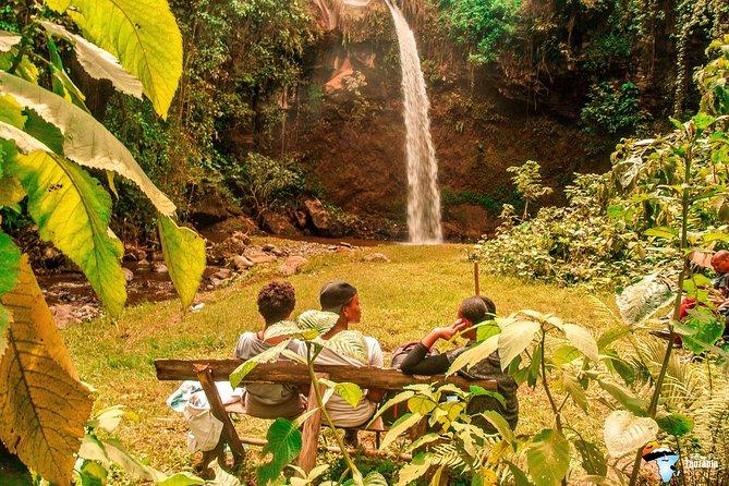 Coffee Tour Experience from Arusha - Starting at Arusha Clock Tower at 7:30 a.m.
