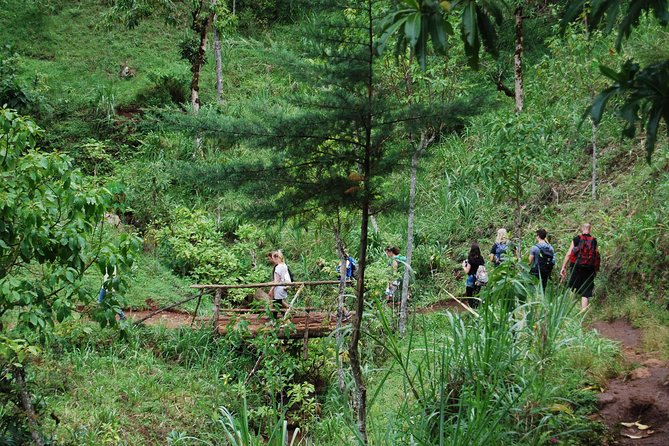 Coffee Tour Experience from Arusha - Roast, Grind, and Taste the Result