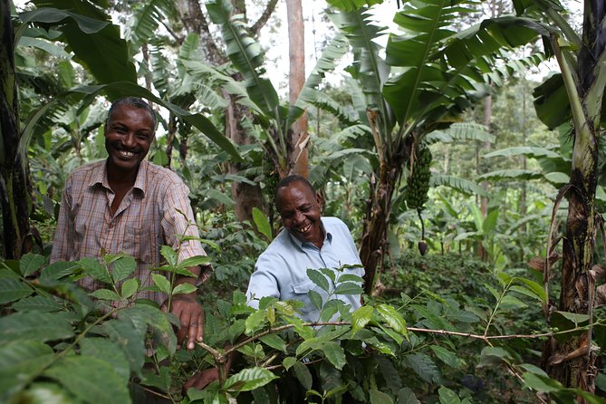 Coffee walk with stay in the village - Walking through Nkoaranga Village