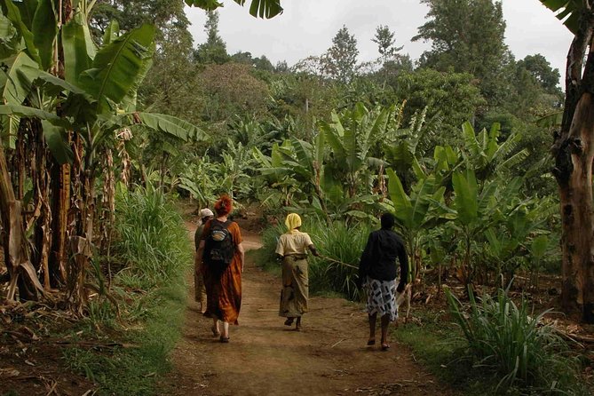 Coffee walk with stay in the village - Two nights in the coffee village