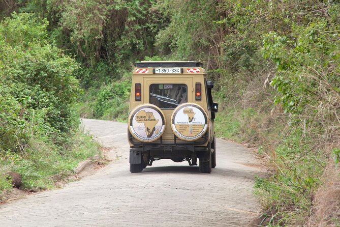 Common 5 Days Tanzania Serengeti Big 5 Private Safari | BURIGI CHATO SAFARIS - Day 5: Ngorongoro Crater and return to Arusha