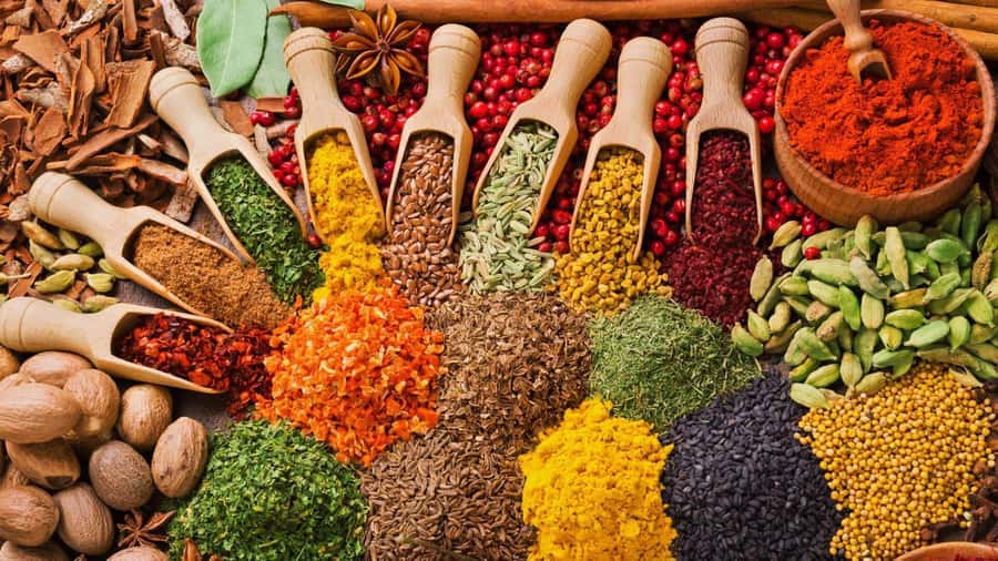 Cooking Class Tour, Stone Town Tour, Horseback Riding - One Hour on Horseback