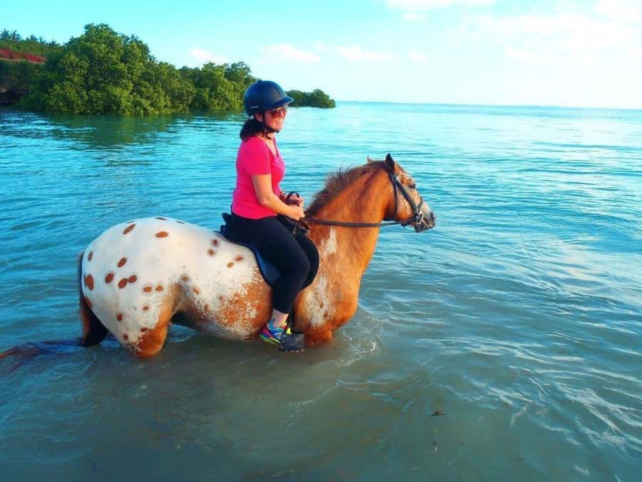 Cooking Class Tour, Stone Town Tour, Horseback Riding - Booking and Cancellation Details