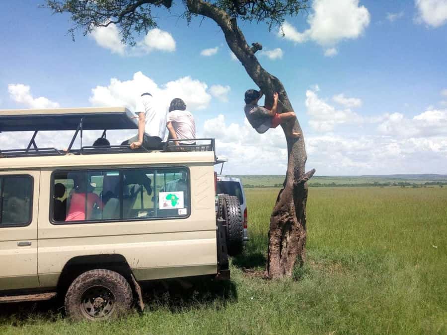 Dar el Salam: Full-Day Mikumi National Park Tour - What the $430 price really covers