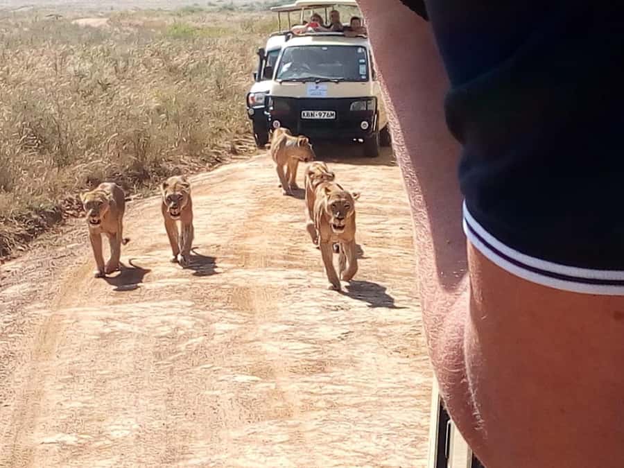 Dar el Salam: Full-Day Mikumi National Park Tour - My final call on the Mikumi day trip