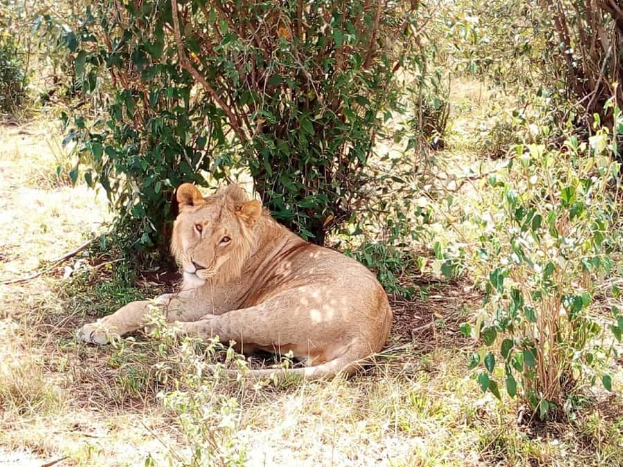 Dar el Salam: Full-Day Mikumi National Park Tour - The early road from Dar es Salaam to Mikumi