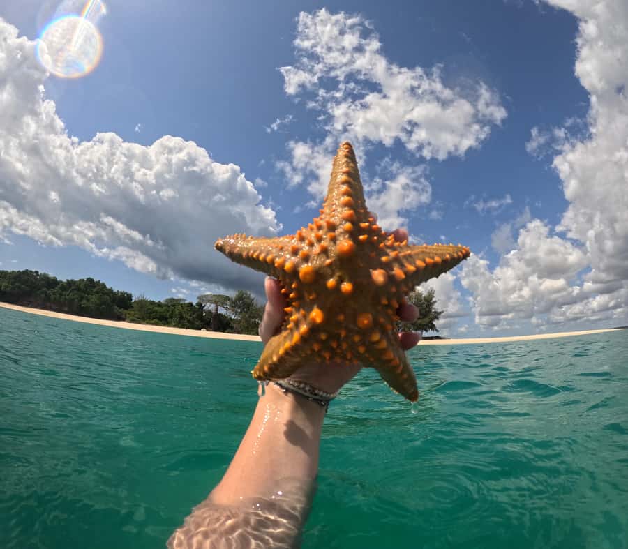 DAR ES SALAAM:BONGOYO ISLAND SNORKELING TOUR & BEACH ESCAPE - Six Hours for Swimming, Walking, and Beach Time