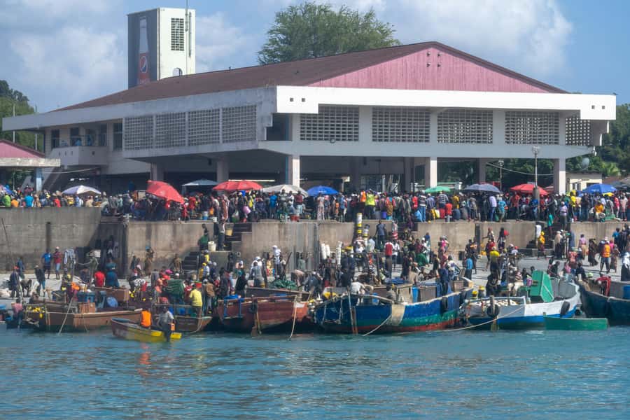 Dar es Salaam: City Highlights Tour with Local Guide - Kivukoni Fish Market brings the waterfront to life