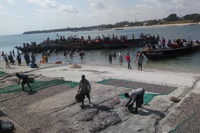 Dar es Salaam City Tour - Everyday - Is $97 Per Person Good Value?
