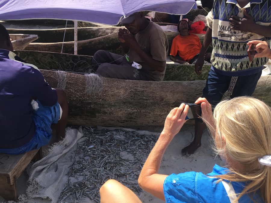 Dar es Salaam: Experience the real Dar es Salaam (City Tour) - Kivukoni Fish Market and the working city