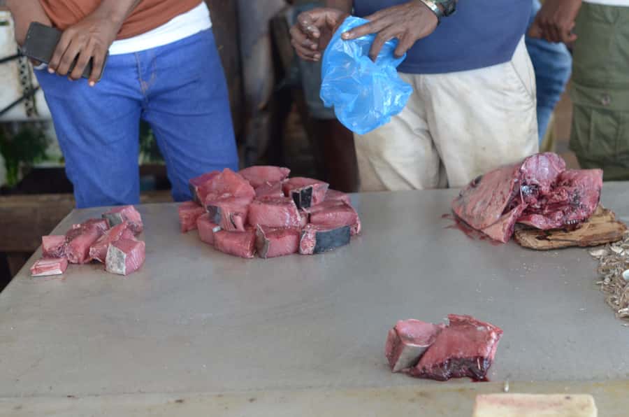 Dar es salaam Fish Market Adventure - What the $110 Price Really Covers