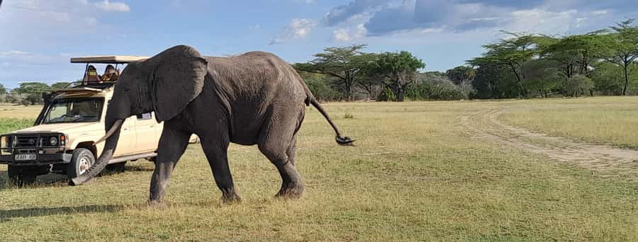 Dar es Salaam: Mikumi National Park Day Trip with Train Ride - Key points at a glance