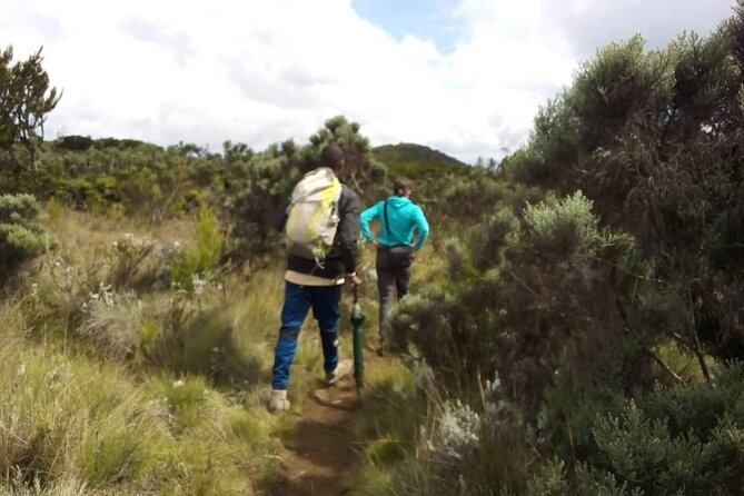 Day Hike to Mount Kilimanjaro, Local experience and Chagga Culture - Key points at a glance