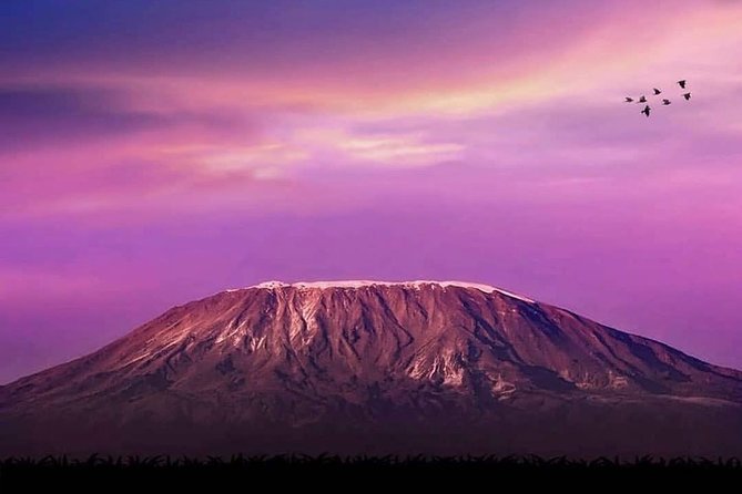 Day Hike to Mount Kilimanjaro (Mandara Hut) - What this Kilimanjaro day hike really offers