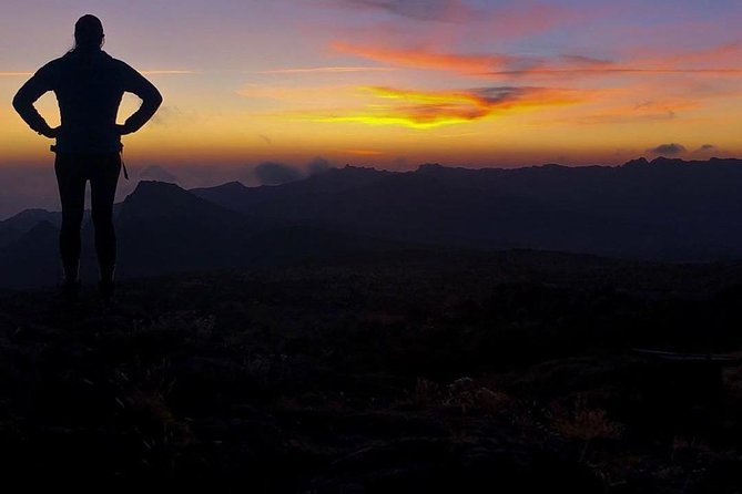 Day Hike to Mount Kilimanjaro (Mandara Hut) - The two-hour descent to Marangu Gate