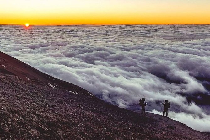Day Hike to Mount Kilimanjaro (Mandara Hut) - Is $342.70 per person fair value?