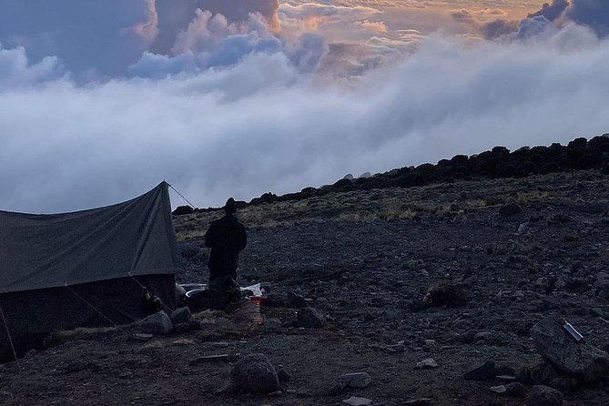 Day Hike to Mount Kilimanjaro (Mandara Hut) - Guide style and the human side of the walk