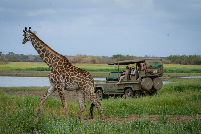 Day Safari Tour Selous Game Reserve - From Zanzibar Airport to the African bush