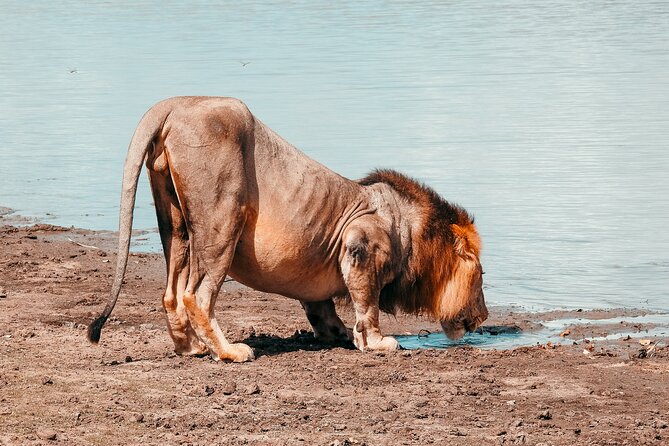 Day Safari Tour Selous Game Reserve - Is $600 per person fair value?