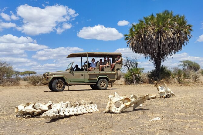 Day Safari Tour Selous Game Reserve - Who should book this day safari?