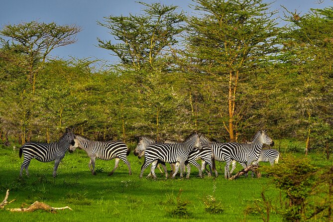 Day Safari tour to Selous Game Reserve from Zanzibar - What the long jeep ride feels like