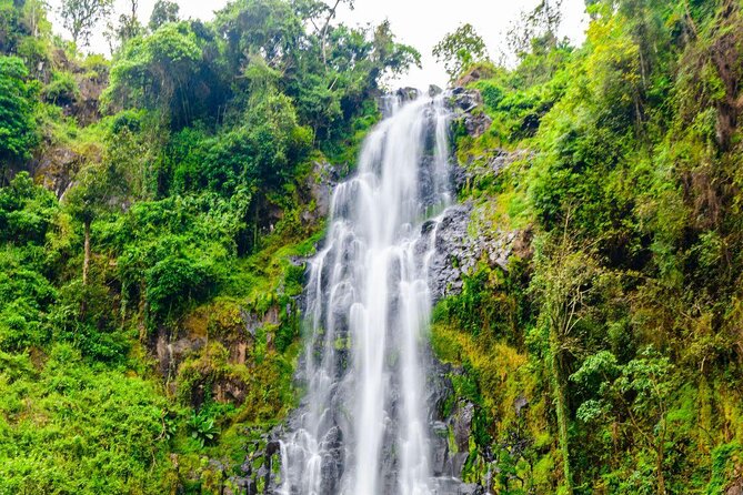 Day Trip Coffee Tour and Materuni Waterfalls - Key points at a glance