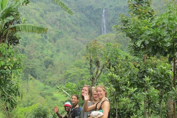 Day Trip Coffee Tour and Materuni Waterfalls - How the private format changes the day