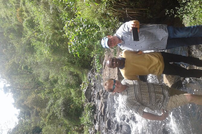 Day Trip Coffee Tour and Materuni Waterfalls - What the guide adds to the experience