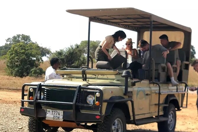 Day trip Safari to Mikumi National Park - Meeting Your Guide Inside Mikumi