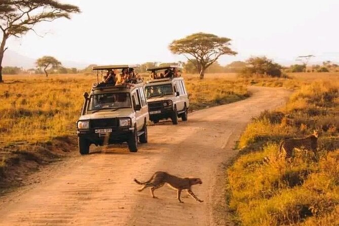 Day trip Safari to Mikumi National Park - What the $560 Price Includes