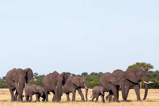 day trip tarangire - Binoculars Help You See More