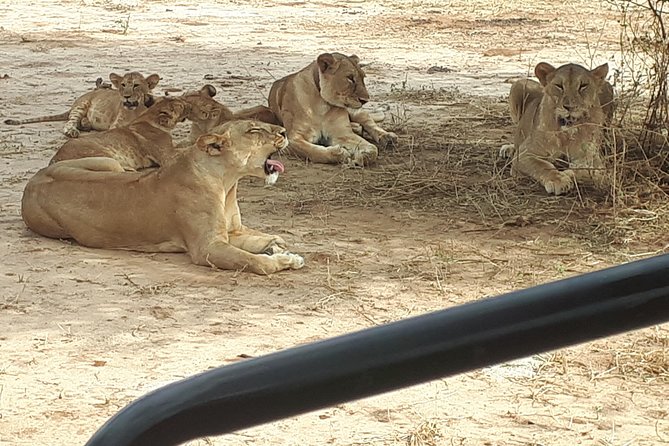 day trip tarangire - Practical Tips for a Better Day