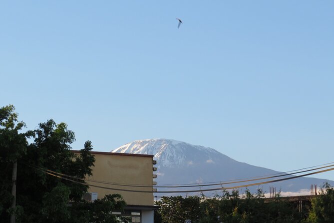 Day Trip to Kilimanjaro National Park - Key points to know before booking