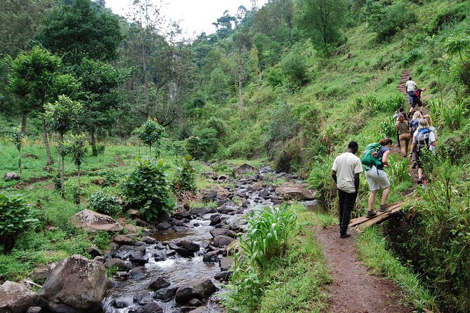 Day Trip To Materuni Waterfalls - What makes this day trip special