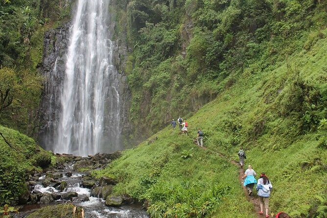 Day Trip To Materuni Waterfalls - Walking through coffee and banana country