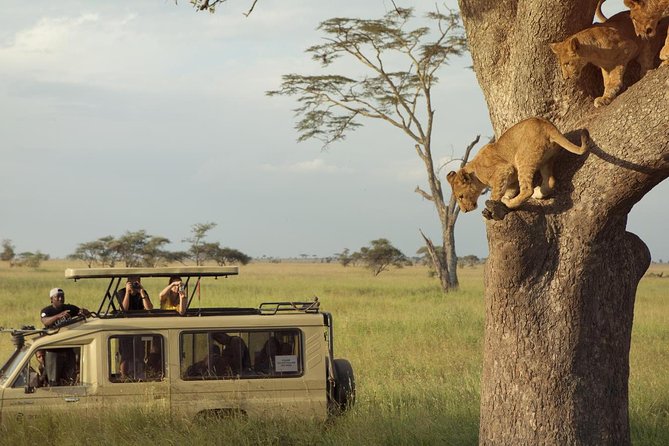 Day Trip to Ngorongoro Crater - Why Ngorongoro Crater works so well for a one-day safari
