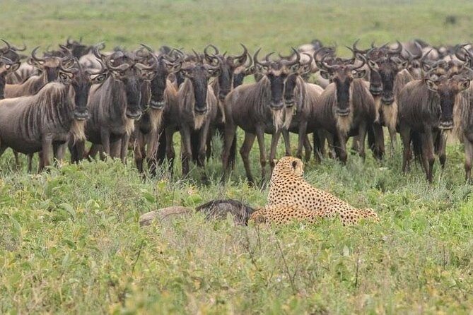 Day trip to tarangire national park - Entering Tarangire for the morning game drive