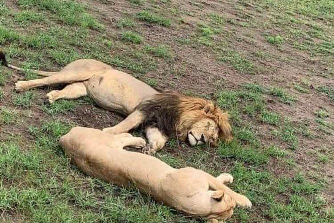 Day Trip to Tarangire National Park From Arusha / Kilimanjaro - The drive back to Arusha