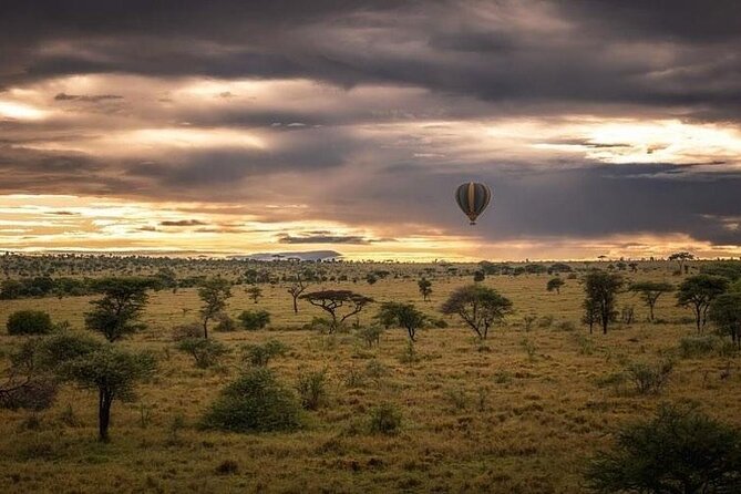 Day trip to tarangire national park - The two to three hour drive from Arusha