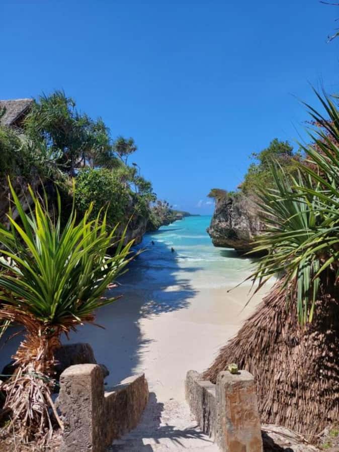 Day trip to the Rock Restaurant & relax on mtende beach - Small details that can improve your day