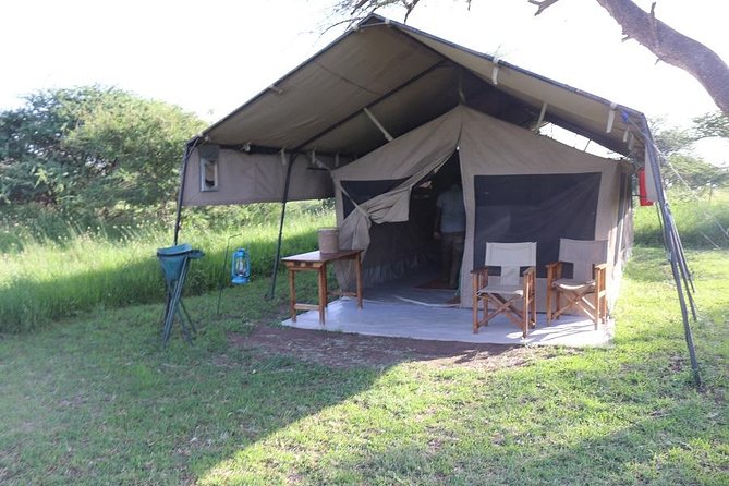 Discover Tanzania through the 3 wild classics - Ngorongoro Crater: dramatic scenery with a busy schedule