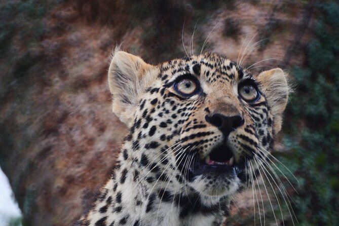 Discover the group joining for 5-day Tanzania safari in 2025 - Day 5: Lake Manyara before Arusha