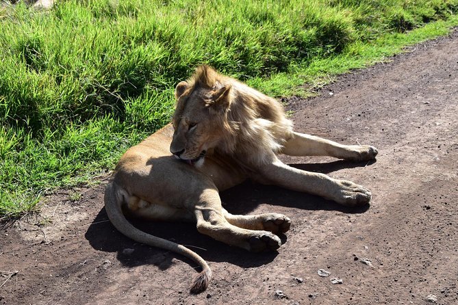 Discover The World's Top Best 4-day Tanzania Group Camping safari - Guides, vehicles, and the group question